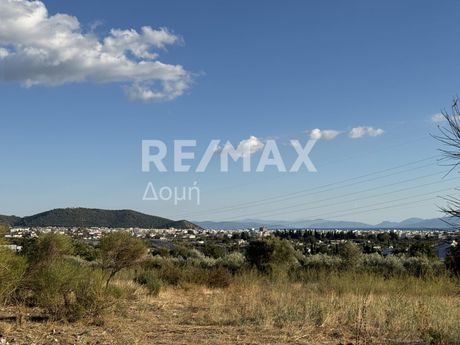 Αγροτεμάχια 5.668 τ.μ. προς πώληση