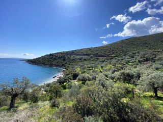 Αγροτεμάχια 6.288 τ.μ. για πώληση