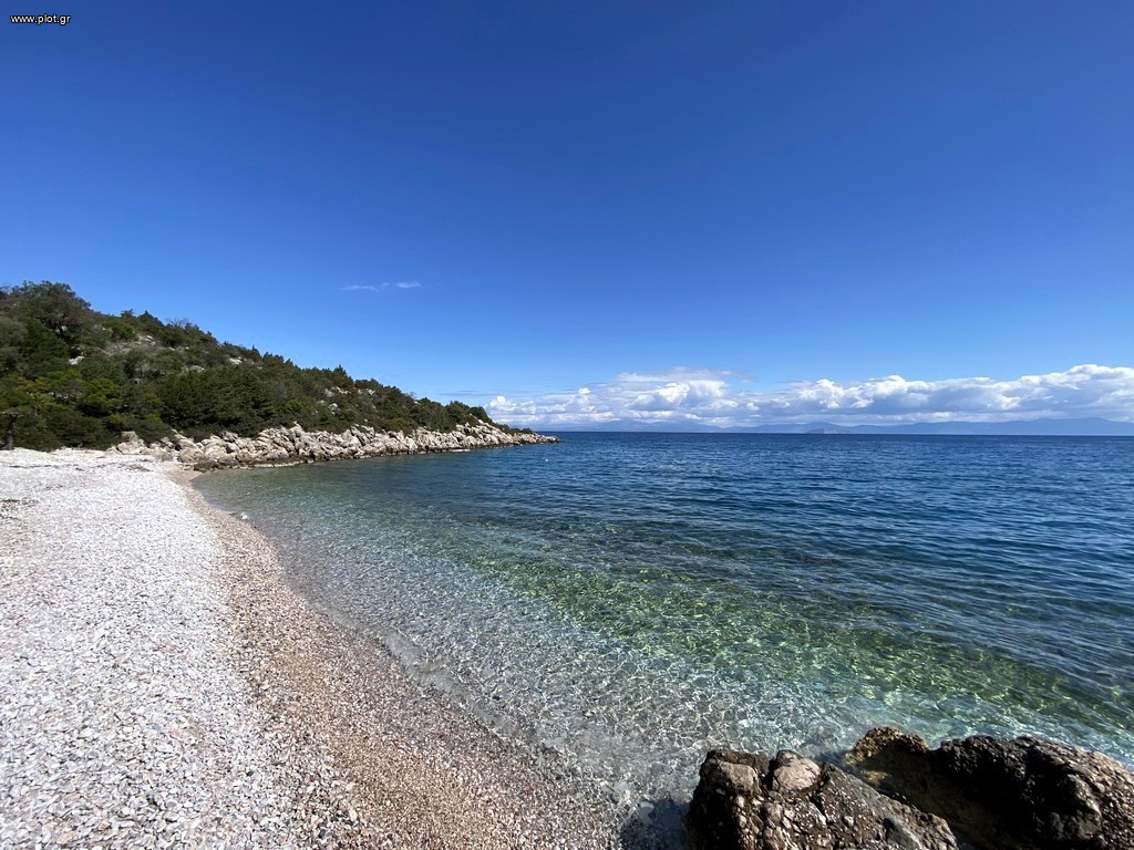 Αγροτεμάχια 6.288 τ.μ. προς πώληση, Αρκαδία, Απόλλωνας