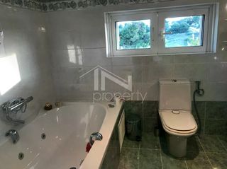 Μονοκατοικία 310 τ.μ. πρός πώληση, Εύβοια, Αυλίδα-thumb-10