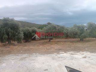 Οικόπεδο 1.000 τ.μ. για πώληση, Ν. Καβάλας, Θάσος-thumb-2