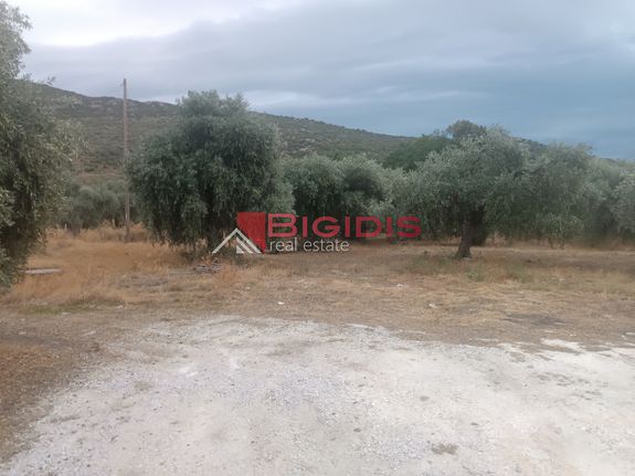 Οικόπεδο 1.000 τ.μ. για πώληση, Ν. Καβάλας, Θάσος