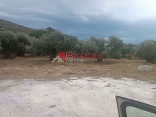 Οικόπεδο 1.000 τ.μ. για πώληση, Ν. Καβάλας, Θάσος-thumb-1