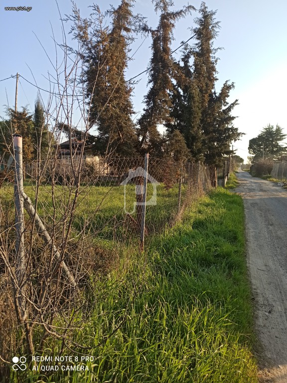 Αγροτεμάχια 520 τ.μ. προς πώληση, Άγιος Παύλος Καλλικράτειας