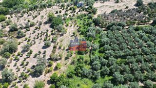 Αγροτεμάχια 3.770 τ.μ. πρός πώληση, Αχαΐα, Αίγιο-thumb-3
