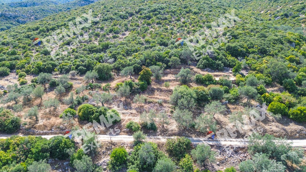 Οικόπεδο 719 τ.μ. πρός πώληση, Αρκαδία, Βόρεια Κυνουρία