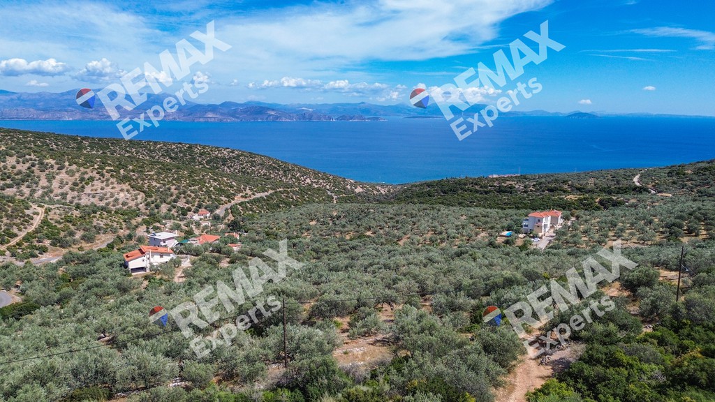 Οικόπεδο 719 τ.μ. πρός πώληση, Αρκαδία, Βόρεια Κυνουρία