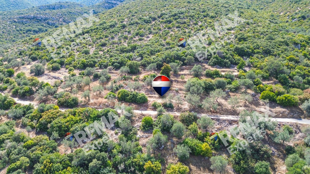 Οικόπεδο 719 τ.μ. πρός πώληση, Αρκαδία, Βόρεια Κυνουρία