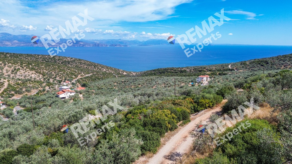 Οικόπεδο 719 τ.μ. πρός πώληση, Αρκαδία, Βόρεια Κυνουρία