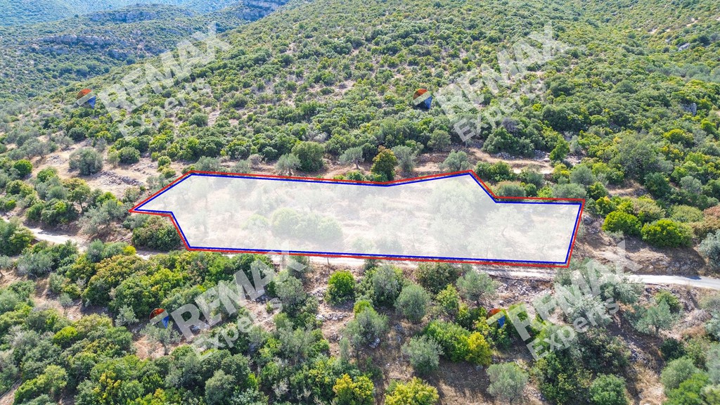 Οικόπεδο 719 τ.μ. πρός πώληση, Αρκαδία, Βόρεια Κυνουρία