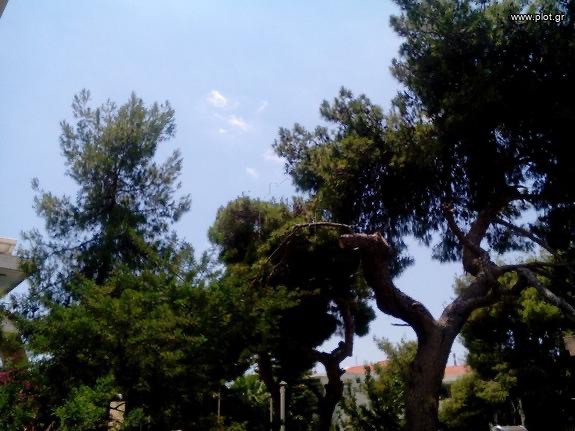 Οικόπεδο 5.000 τ.μ. προς πώληση, Αγία Μαρίνα Κορωπίου