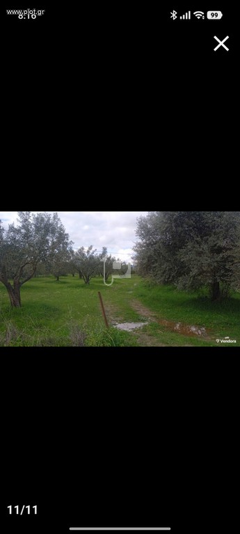 Οικόπεδο 1 τ.μ. προς πώληση, Άγιος Γεώργιος Ιστιαίας