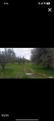 Οικόπεδο 1 τ.μ. για πώληση