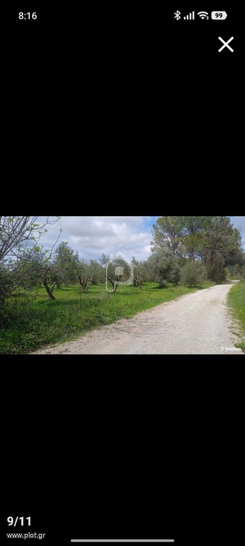 Οικόπεδο 1 τ.μ. προς πώληση, Άγιος Γεώργιος Ιστιαίας