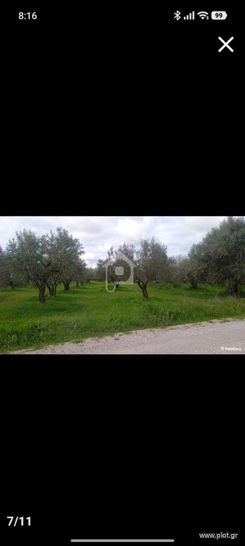 Οικόπεδο 1 τ.μ. προς πώληση, Άγιος Γεώργιος Ιστιαίας