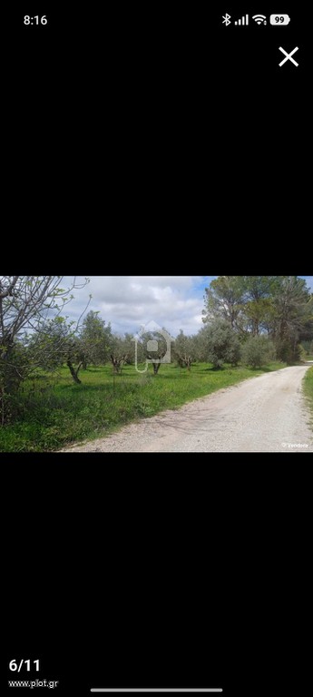 Οικόπεδο 1 τ.μ. προς πώληση, Άγιος Γεώργιος Ιστιαίας