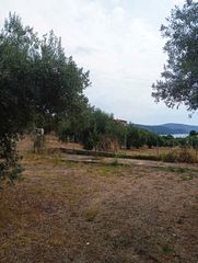 Μονοκατοικία 119 τ.μ. για πώληση