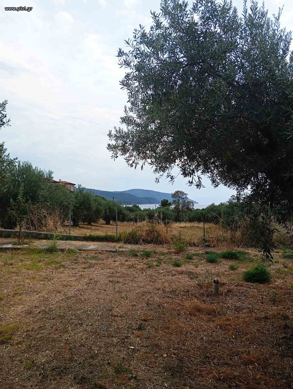 Μονοκατοικία 119 τ.μ. πρός πώληση, Χαλκιδική, Παναγιά