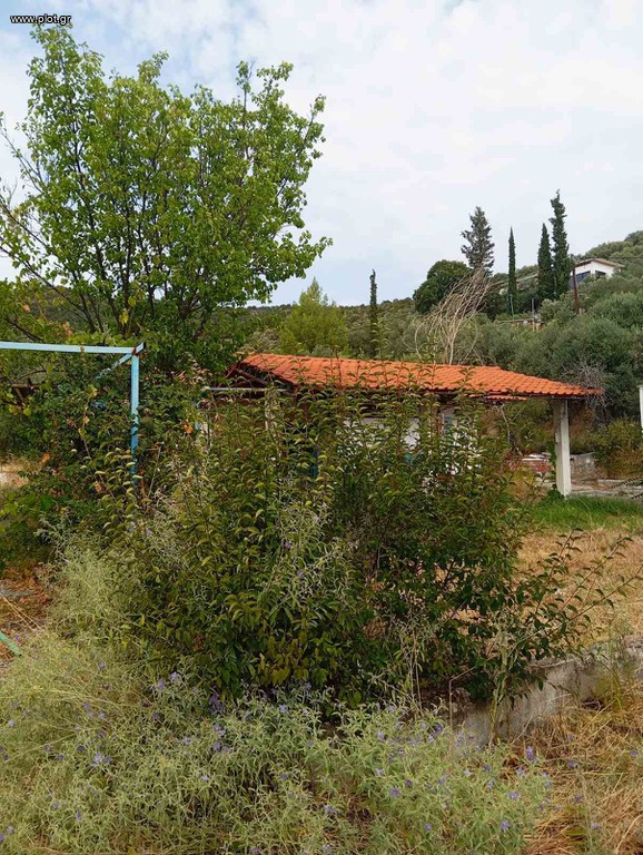 Μονοκατοικία 119 τ.μ. πρός πώληση, Χαλκιδική, Παναγιά
