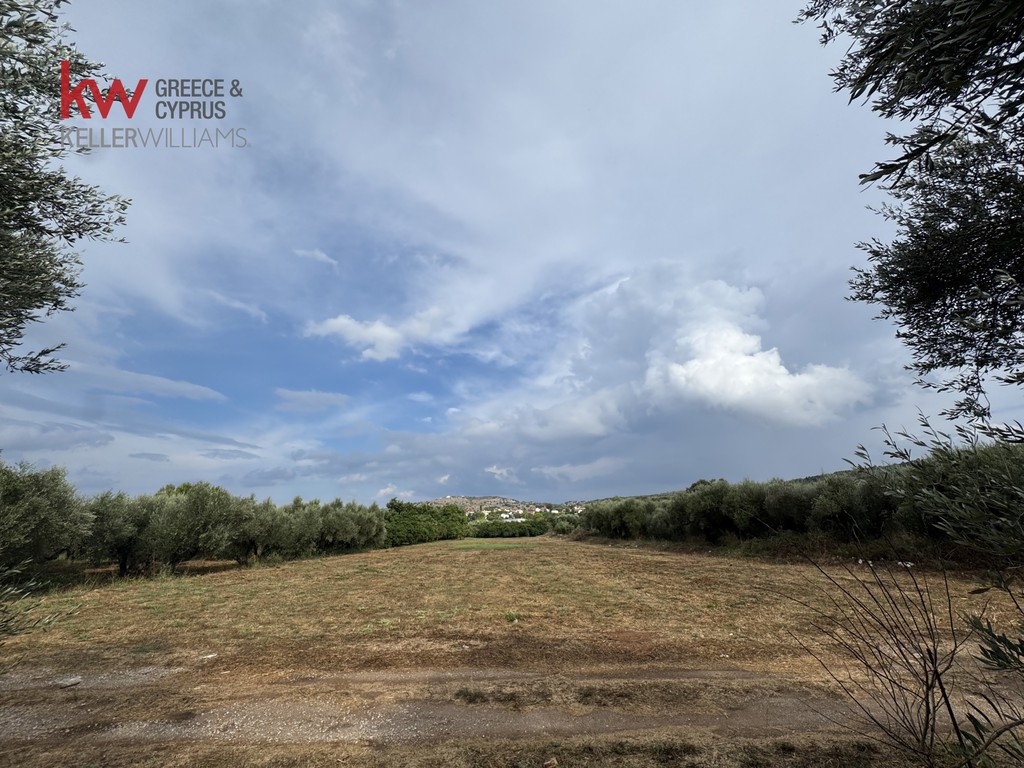 Οικόπεδο 4.195,12 τ.μ. προς πώληση, Αρμενοί