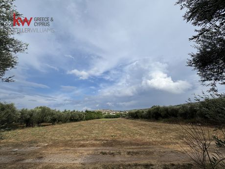 Οικόπεδο 4.195,12 τ.μ. προς πώληση