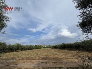 Οικόπεδο 4.195,12 τ.μ. για πώληση