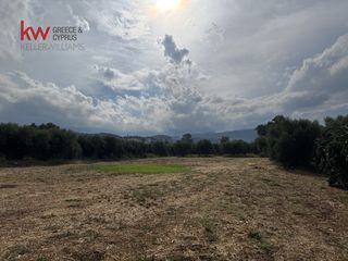 Οικόπεδο 2.339,73 τ.μ. για πώληση