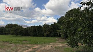 Οικόπεδο 2.339,73 τ.μ. προς πώληση, Αρμενοί-thumb-4