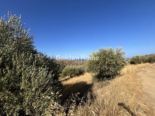 Αγροτεμάχια 1.546 τ.μ. για πώληση