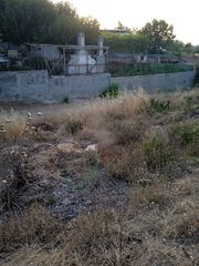 Αγροτεμάχια 1.000 τ.μ. για πώληση