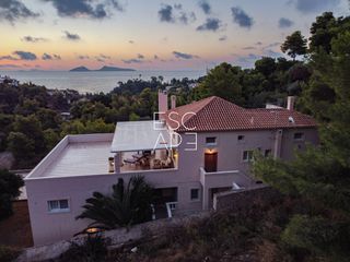 Βίλλα 440 τ.μ. προς πώληση, Άγιος Αιμιλιανός-thumb-7