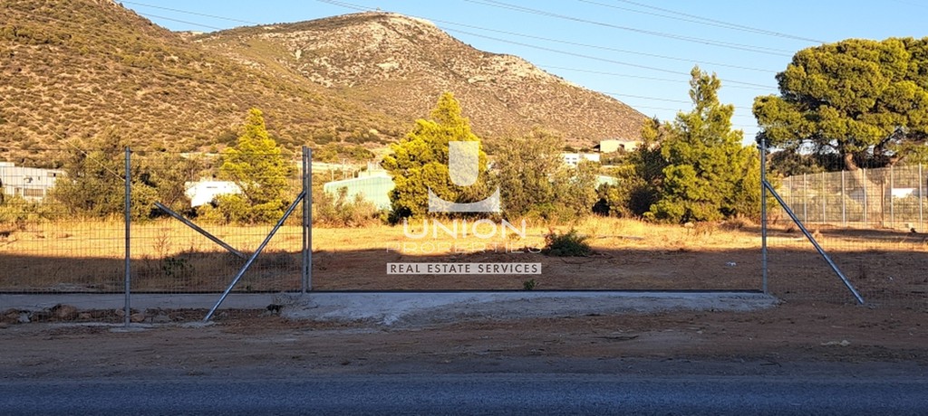 Αγροτεμάχια 11.500 τ.μ. πρός ενοικίαση, Αττική - Υπόλοιπο, Καλύβια Θορικού
