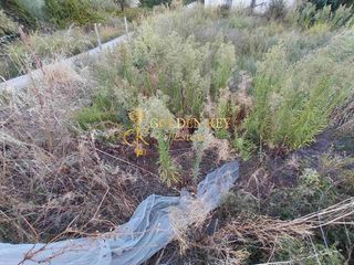 Οικόπεδο 750 τ.μ. για πώληση, Ν. Καβάλας, Ελευθερές-thumb-3