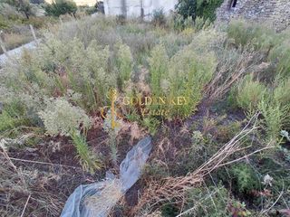 Οικόπεδο 750 τ.μ. για πώληση, Ν. Καβάλας, Ελευθερές-thumb-4