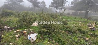 Land plot 1.012 sqm for sale