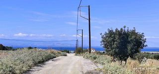 Αγροτεμάχια 8.200 τ.μ. για πώληση