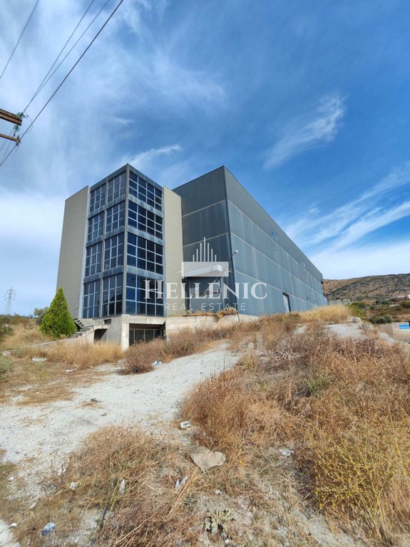 Βιοτεχνικός χώρος 2.936 τ.μ. πρός πώληση, Μαγνησία, Ιωλκός