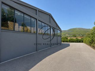 Βιοτεχνικός χώρος 2.000 τ.μ. για ενοικίαση, Εύβοια, Αυλίδα-thumb-7