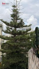 Διαμέρισμα 65 τ.μ. για πώληση, Ν. Χανίων, Χανιά-thumb-26