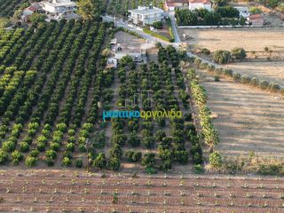Μονοκατοικία 120 τ.μ. προς πώληση, Κουτσοπόδι-thumb-11