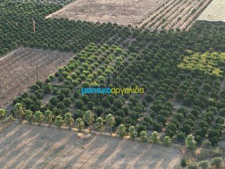 Μονοκατοικία 120 τ.μ. προς πώληση, Κουτσοπόδι-thumb-15
