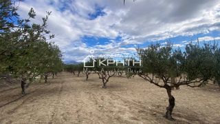 Οικόπεδο 17.700 τ.μ. για πώληση, Ν. Λασιθίου, Ιεράπετρα-thumb-5