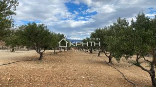 Οικόπεδο 17.700 τ.μ. για πώληση, Ν. Λασιθίου, Ιεράπετρα-thumb-7