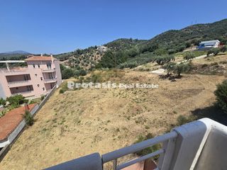 Διαμέρισμα 30 τ.μ. προς πώληση, Λουτρά Αιδηψού-thumb-4