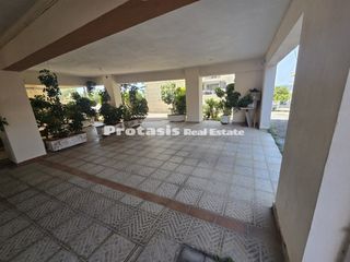 Διαμέρισμα 30 τ.μ. προς πώληση, Λουτρά Αιδηψού-thumb-11