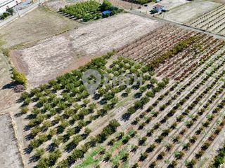 Αγροτεμάχια 7.650 τ.μ. για πώληση, Ημαθία, Νάουσα-thumb-6
