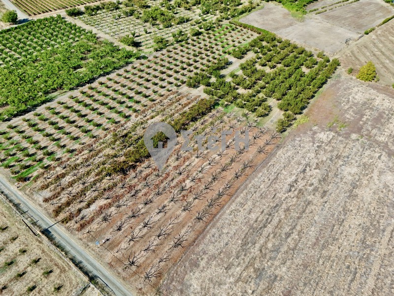 Αγροτεμάχια 7.650 τ.μ. πρός πώληση, Ημαθία, Νάουσα