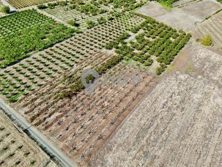 Αγροτεμάχια 7.650 τ.μ. για πώληση, Ημαθία, Νάουσα-thumb-1