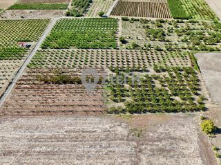 Αγροτεμάχια 7.650 τ.μ. για πώληση, Ημαθία, Νάουσα-thumb-10