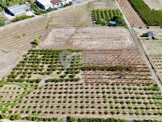 Αγροτεμάχια 7.650 τ.μ. για πώληση, Ημαθία, Νάουσα-thumb-5